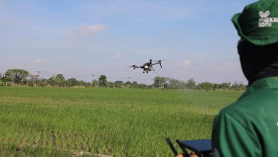 Pakar IPB: AI dan Big Data Kunci Pertanian Presisi untuk Swasembada Pangan Pakar IPB: AI dan Big Data Kunci Pertanian Presisi untuk Swasembada Pangan